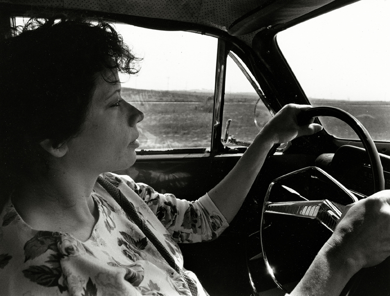 Illustration for article titled Automobile As Landscape By Dave Glass